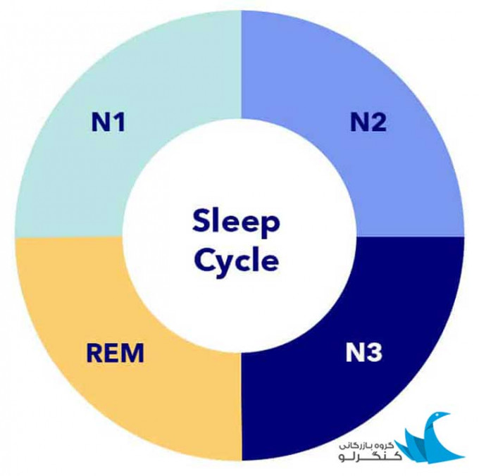 چرخه خواب و مراحل خواب چیست؟